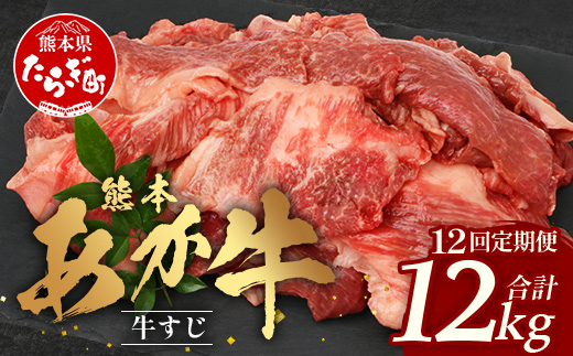 【 定期便 12回 】 熊本 あか牛 スジ肉 1㎏ × 12回 【 合計 12kg 】 牛スジ  熊本 熊本県産 あか牛 牛肉 ブランド 肉 お肉 ヘルシー 041-0167