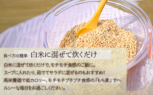 【 熊本県産 もち麦 】3kg(500g×6袋) 白米 と 炊くだけ！【 もちもち 食感 ぷちぷち  食物繊維 炊飯 健康 高栄養 ポリフェノール  熊本県 多良木町産 】065-0589