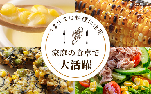 【数量限定】多良木町産 スイートコーン 約 2kg (6～7本) 5月上旬～順次配送 ゴールドラッシュ 一番果 甘い トウモロコシ 旬の味覚 産地直送 コーン とうもろこし 熊本県 089-0690