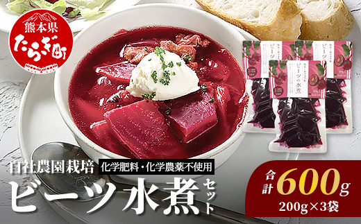 自社農園栽培 ビーツ 水煮 600g(200g×3袋) 熊本県 産 国産 スーパーフード 高栄養 beet びーつ レトルト 水煮 サラダ シチュー スムージー あさぎり農園 野菜 根菜 美容 健康 115-0615