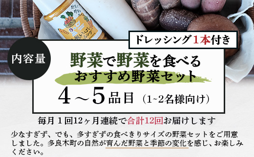 【定期便 12回】野菜ソムリエ 監修【 野菜で野菜を食べる 】旬の おすすめ 野菜＆ドレッシング 定期便 (1〜2名様向け) 野菜 獲れたて 直送 旬 新鮮 セット 詰め合わせ 詰合せ 定期便 12カ月 産地 直送 国産 旬 野菜 ひとり暮らし 夫婦 熊本県 多良木町 ドレッシング 024-0808