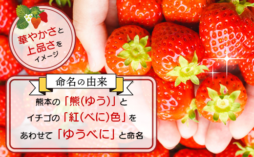 熊本県産いちご ゆうべに 約260g×4パック2026年1月～発送  産地直送 国産 新鮮 フレッシュ 果物 苺 イチゴ 103-0002