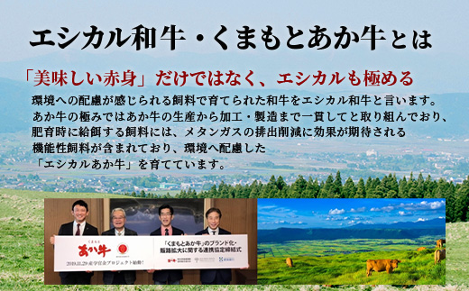 【エシカル和牛】くまもとあか牛【あか牛の極み】モモ焼きしゃぶ 200g×3 (計 600g) モモ 赤身 熊本 あか牛 牛肉 小分け しゃぶしゃぶ 焼きしゃぶ すき焼き 和牛 国産 SDGs 033-0513
