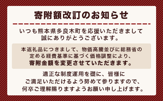 馬スジのカレー 10食 セット 合計2.1kg 【カレー レトルト レトルトカレー 馬すじ 馬スジ 馬 すじ スジ 時短 人気 熊本県 多良木町】 031-0423