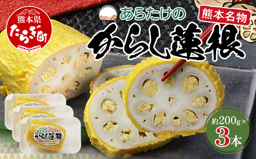 【熊本名物】あらたけの からし蓮根 3本セット (約200g×3本) 辛子 レンコン れんこん 熊本県 特産 名産品 ピリ辛 滋養 多良木町 老舗 あらたけ蒲鉾店 102-0504