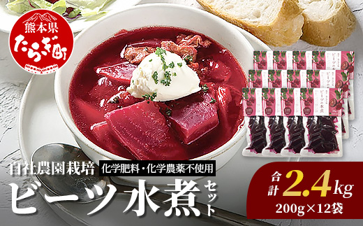 自社農園栽培 ビーツ 水煮 2.4kg (200g×12袋) 熊本県 産 国産 スーパーフード 高栄養 beet びーつ レトルト 水煮 サラダ シチュー スムージー あさぎり農園 野菜 根菜 美容 健康 115-0617