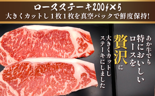 くまもとあか牛食べ尽くしセット 《 ハンバーグ・切り落とし・すき焼きしゃぶしゃぶ用・カルビ焼肉用・肩ロースすき焼きしゃぶしゃぶ用・肩ロース焼肉用・ロースステーキ・ロースしゃぶしゃぶ 》計4.15kg 