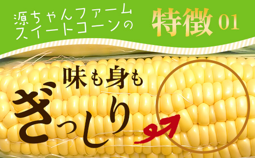 【数量限定】多良木町産 スイートコーン 約 2kg (6～7本) 5月上旬～順次配送 ゴールドラッシュ 一番果 甘い トウモロコシ 旬の味覚 産地直送 コーン とうもろこし 熊本県 089-0690