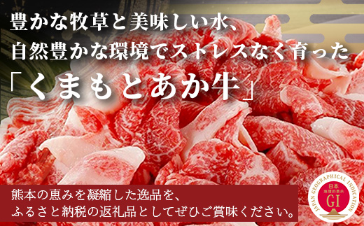 【あか牛】 くまもとあか牛 切り落とし 約800g ＜約400g×2p＞ 冷凍 牛肉 和牛 国産牛 073-0408