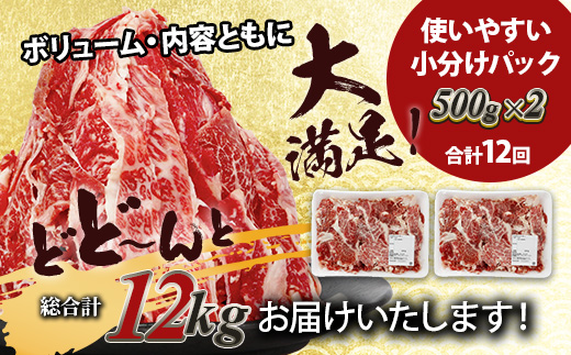 【定期便12回】熊本あか牛 切り落とし 1kg (500g×2)×12回 【 合計 12Kg 】 国産 牛肉 冷凍 熊本 熊本県産 あか牛 赤牛 切り落とし 041-0164