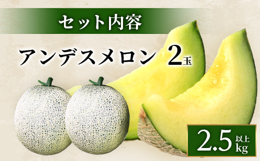 【2025年4月中旬発送開始】熊本県産 アンデスメロン 2玉 計約約2.5kg以上 【 アンデス メロン フルーツ 果物 くだもの 熊本県 多良木町 】 083-0697