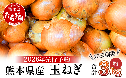 【先行予約】熊本県産 玉ねぎ 3kg (10玉前後) ※2026年4月下旬から順次発送※ 玉葱 野菜 数量限定 JAS たまねぎ オニオン 甘い ハンバーグ 肉じゃが 065-0635