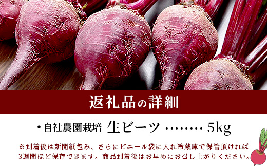 自社農園栽培 生 ビーツ 5kg 熊本県 産 国産 スーパーフード 高栄養 びーつ 生 あさぎり農園 野菜 根菜 美容 健康 115-0613