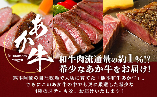 熊本和牛 あか牛 4種のステーキセット 590g < サーロイン200g・ランプ150g・ヒレ120g・三角バラ120g > 【 牛肉 肉 ステーキ 赤身 ヘルシー ブランド牛 熊本県産】046-0798