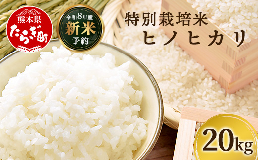 【令和8年産 新米予約】特別栽培米「ヒノヒカリ」20kg 精米 井上農園 10月より順次出荷 熊本県 お米 白 米 精米 ひのひかり 国産 114-0603