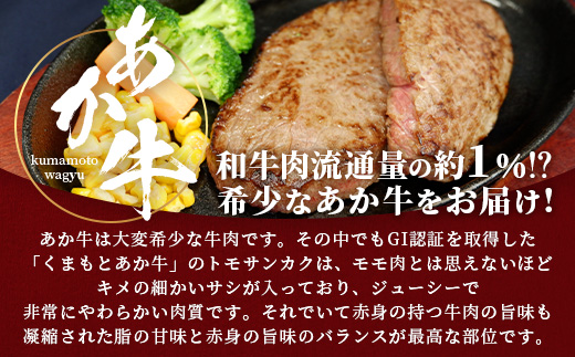 【GI認証】くまもとあか牛 トモサンカク 120g×4枚【合計 480g】 熊本県産 ブランド くまもと あか牛 和牛 極上 希少 牛肉 ロース ステーキ 赤身 肉 熊本 046-0674