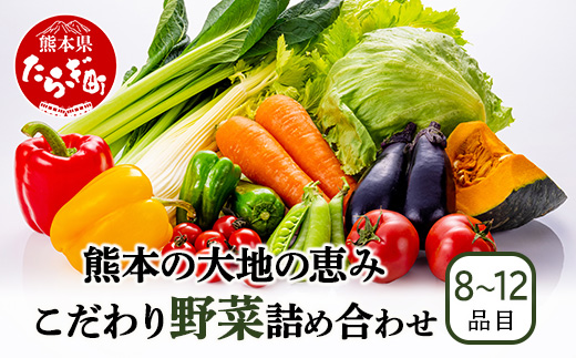 熊本の大地の恵み 旬の こだわり野菜詰め合わせセット 8〜12品 （3〜4名様向け）野菜 獲れたて 新鮮 野菜 セット 詰め合わせ 詰合せ 産地 直送 国産 季節 野菜 家族 ファミリー 多良木町 024-0809