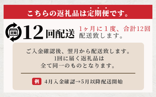 【 定期便12回 】ペット用 手作り 馬肉 ジャーキー 熊本加工 【 100g×12回 】 ドッグ フード ペット おやつ 食事 無添加 無香料 ヘルシー 高栄養 馬肉 ペット お肉専門店 1年 定期便 熊本県 馬肉 国内加工 041-0512