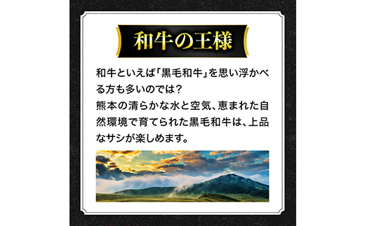 熊本県産 和牛 馬肉 しゃぶしゃぶ 食べ比べ セット 計900g 【 黒毛和牛 和牛 あか牛 赤牛 しゃぶしゃぶ用 高級 】 058-0685