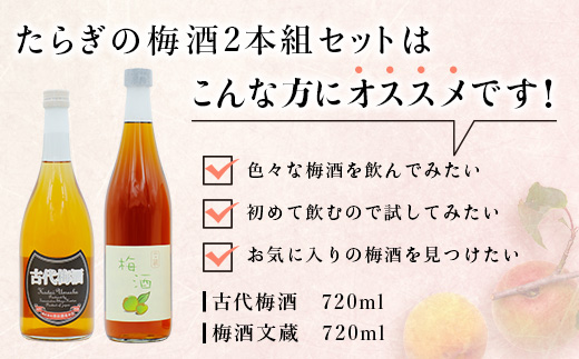 たらぎの 梅酒 セット 720ml × 2本 ≪古代梅酒≫≪ 梅酒文蔵≫ 球磨焼酎 多良木町 米 焼酎 梅 うめ酒 お酒 球磨 贈り物 ギフト 熊本県 多良木町 015-0689