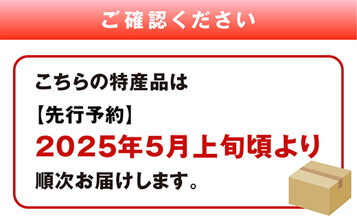 【2025年5月上旬～発送 先行予約】小玉スイカ ひとりじめ (2玉) 令和7年 夏 スイカ 食べきりサイズ 西瓜 フルーツ 果物 旬の味覚 すいか 甘い 産地直送 008-0663