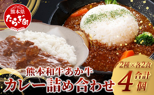 熊本和牛 あか牛 カレー 2種 詰め合わせ ≪あか牛カレー180g×2・あか牛100％挽肉カレー220g×2≫【 あか牛 牛肉 肉 カレー スパイシー 熊本産 国産牛 和牛  】046-0625