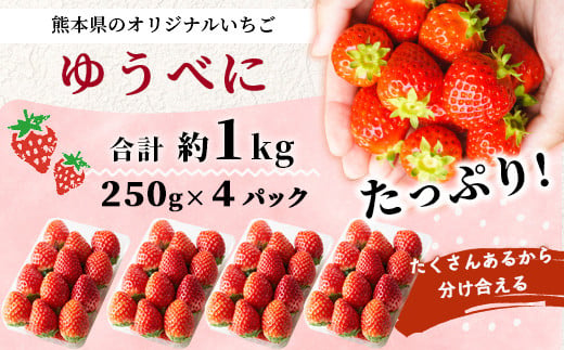 【2025年3月～発送開始】先行予約 熊本県産 いちご ゆうべに 1箱 (250g×4パック) イチゴ 果物 フルーツ 熊本県 多良木町 農園直送 107-0501