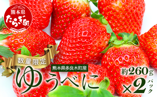 【先行予約】熊本県産 いちご【ゆうべに】約260g×2パック 2025年1月～発送 ≪ 苺 イチゴ 数量限定 坂下農園 イチゴ 2パック 苺 フルーツ 果物 春 名産 熊本 多良木町 ビタミン 旬 ≫