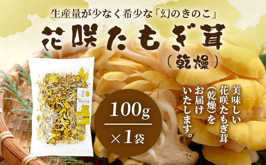 無農薬栽培【花咲 たもぎ茸 (乾燥) 100g 】幻 キノコ タモギダケ ヒラタケ 健康 栄養豊富 出汁 だし 115-0606