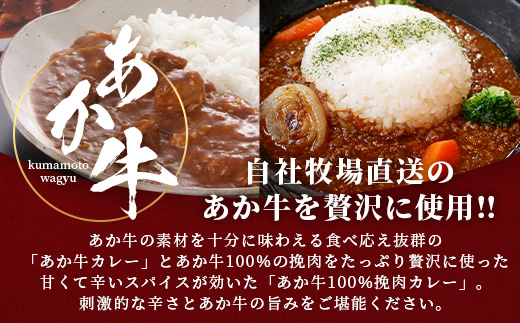 熊本和牛 あか牛 カレー 2種 詰め合わせ ≪あか牛カレー180g×2・あか牛100％挽肉カレー220g×2≫【 あか牛 牛肉 肉 カレー スパイシー 熊本産 国産牛 和牛  】046-0625