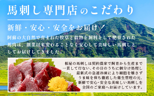 熊本県 赤身 馬刺し 約400g【専用醤油付き 150ml×1本 熊本県 多良木町 ふるさと納税 馬肉 馬さし 肉 ヘルシー 赤身 本場 050-0351