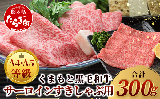 ★厳選部位【A4〜 A5等級】くまもと黒毛和牛サーロイン ≪ しゃぶしゃぶ すき焼き用 300ｇ≫ ブランド 牛肉 肉 サーロイン すきやき スキヤキ ご馳走 ご褒美 和牛 国産 熊本県 上級 上質