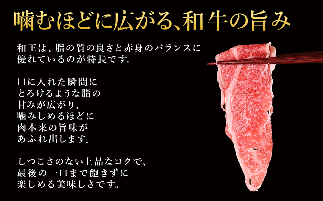 ããµãããšçŽçšã ãã¬ãã¢ã 黿¯åç ãåçã åãèœãšã 1kg (500gÃ2ããã¯) A4 A5 ççŽ åç è çè åãèœãšã èš³ãã å·å å°åã çæ¬ç æ°Žäžæ