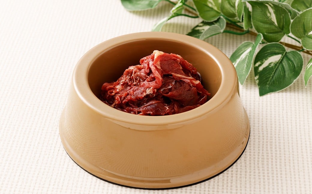 ペット用馬肉 1kg ペット用 馬肉 馬 肉 ペットフード おやつ 無添加 冷凍 熊本県 水上村