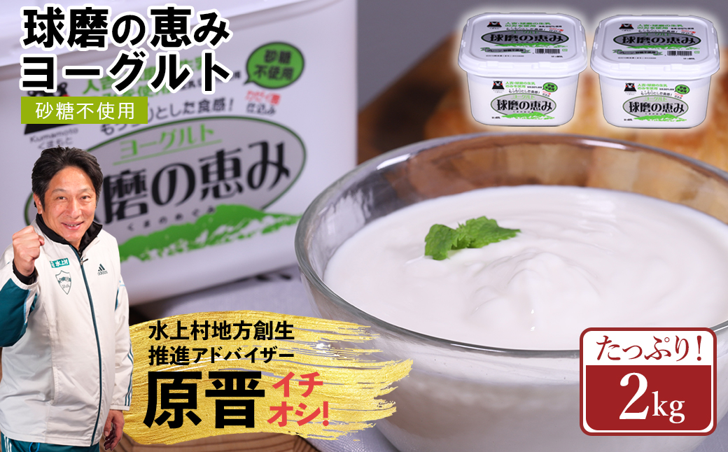球磨の恵み ヨーグルト 砂糖不使用 2kg まとめ買い 大容量 熊本県 水上村