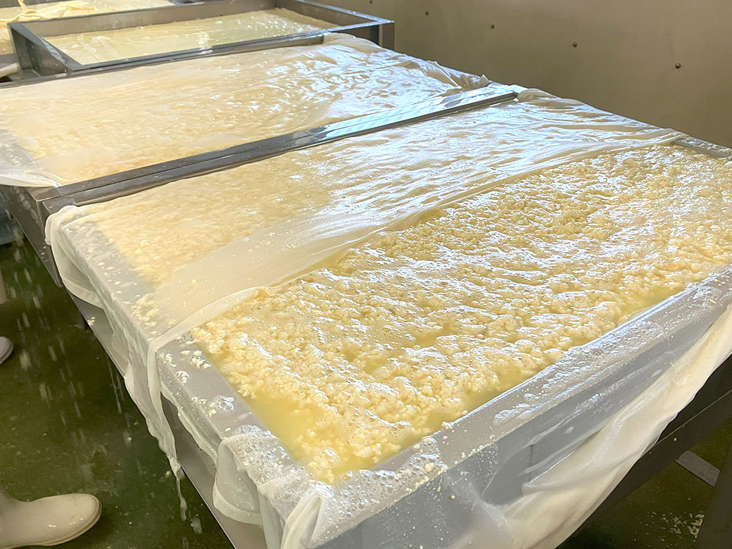 平家の落武者 保存食 詰め合わせ （大身） セット 計9種 豆腐 伝統食 おつまみ もろみ豆腐 かりんとう