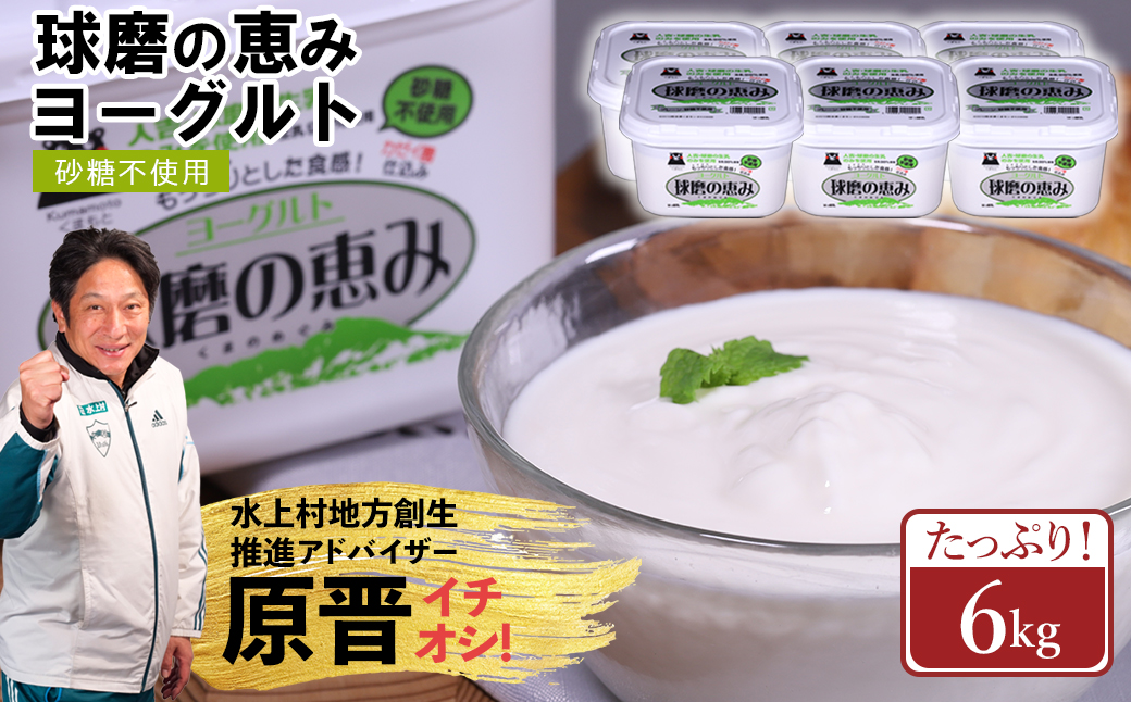 球磨の恵み ヨーグルト (砂糖不使用) 1kg×6パック 計6kg