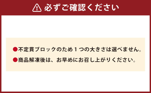 【フジチク ふじ馬刺し】馬刺し 上赤身 計約800g 馬刺 馬肉 赤身肉 赤身