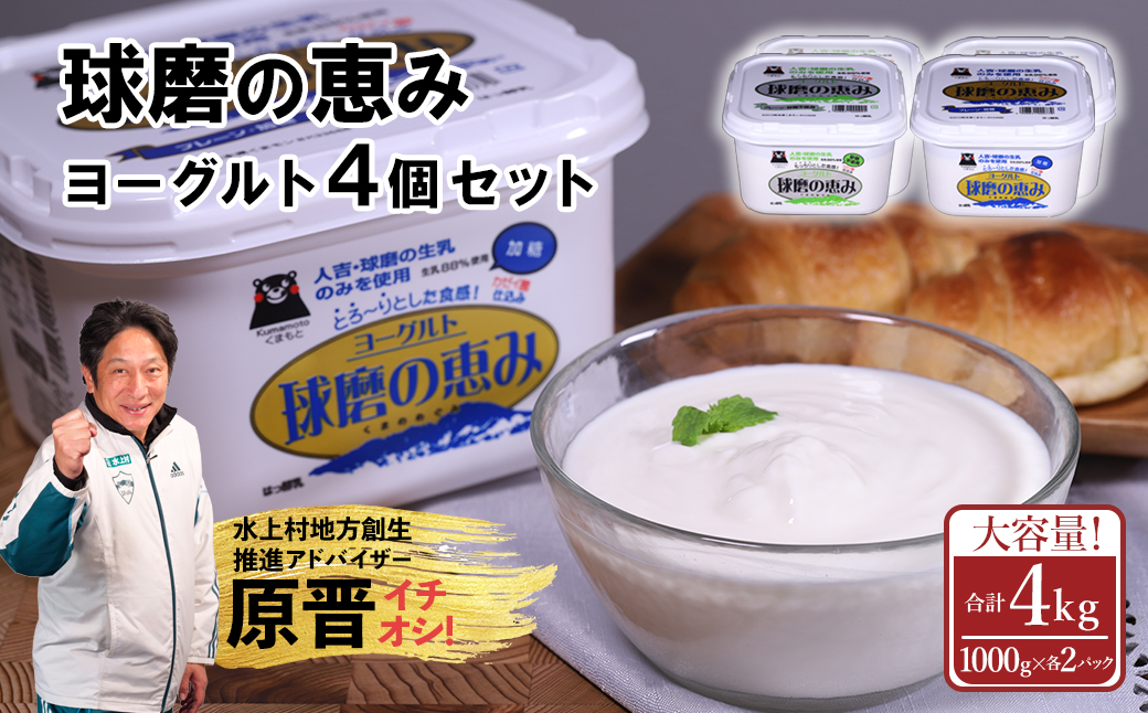【ふるさと納税】 球磨の恵みヨーグルト 4kg 加糖 砂糖不使用 プレーン 1000g×各2個 合計4個セット 無糖 送料無料 大容量 まとめ買い 熊本県 水上村