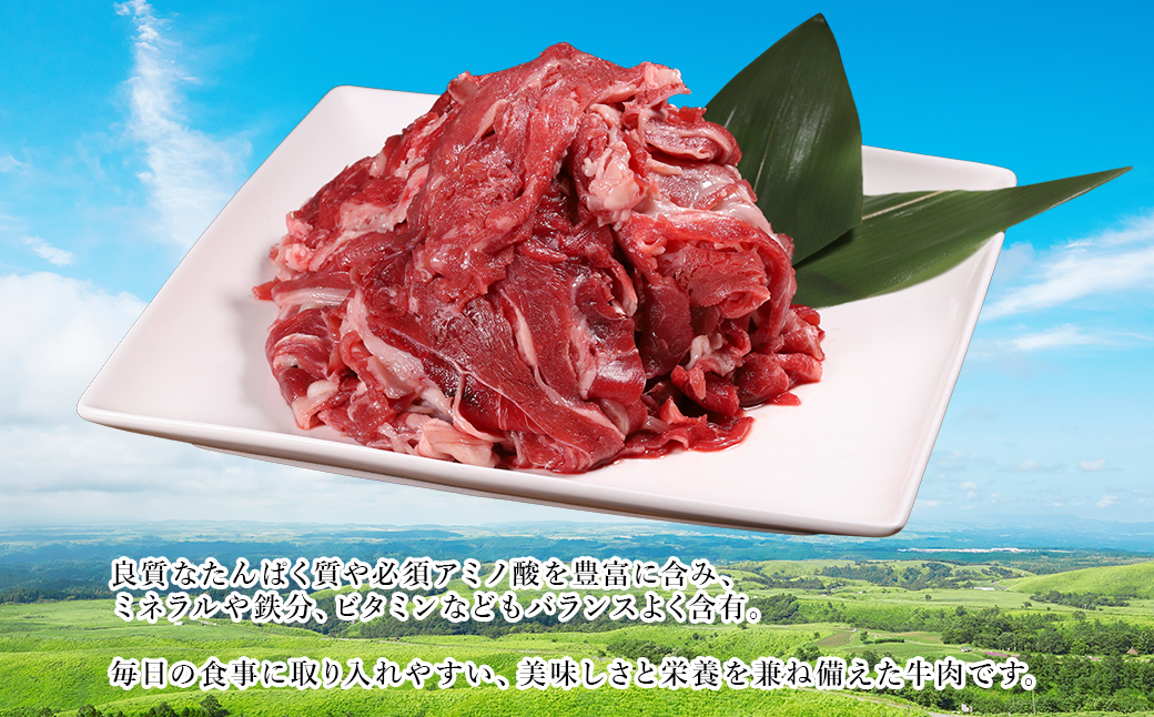 【ふるさと納税】 熊本産 あか牛 切り落とし 500g 肉 訳あり 不揃い 牛肉 国産牛 お肉 切落し 端っこ 小間切れ お取り寄せ 熊本県 水上村
