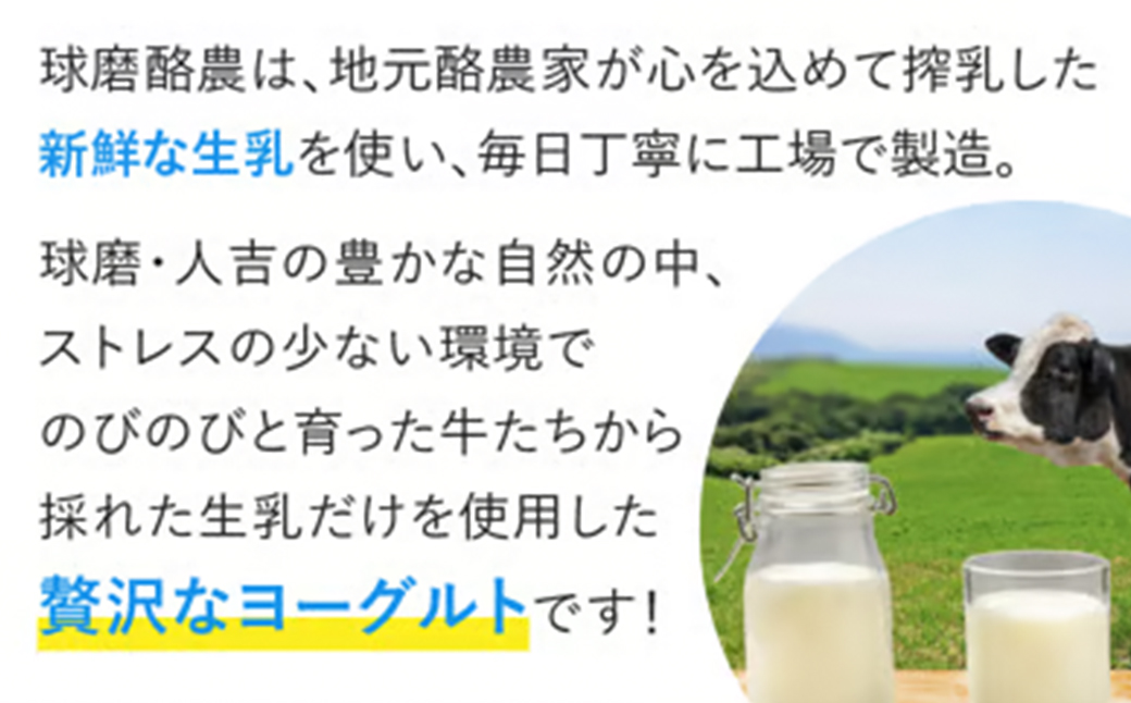 球磨の恵み ヨーグルト (砂糖不使用) 1kg×6パック 計6kg