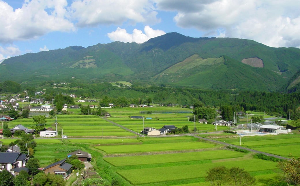 萬屋次兵衛 1800ml 1本 米焼酎 1.8L 球磨焼酎 熊本県産