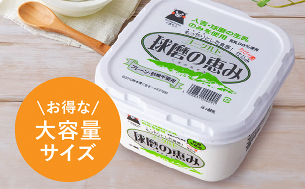 球磨の恵み ヨーグルト (砂糖不使用) 1kg×6パック 計6kg