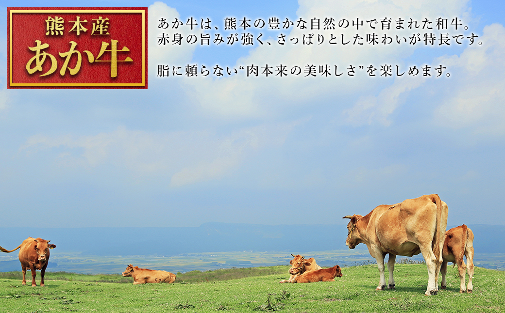【ふるさと納税】 熊本産 あか牛 切り落とし 500g 肉 訳あり 不揃い 牛肉 国産牛 お肉 切落し 端っこ 小間切れ お取り寄せ 熊本県 水上村