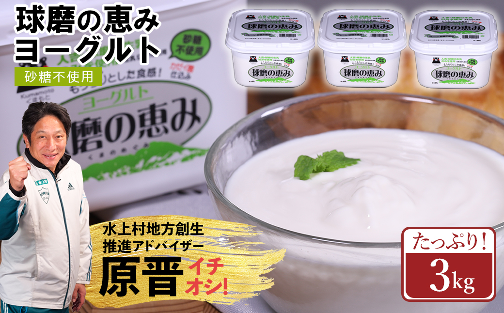 球磨の恵み ヨーグルト(砂糖不使用) 3kg(1kg×3パック) ヨーグルト 無糖