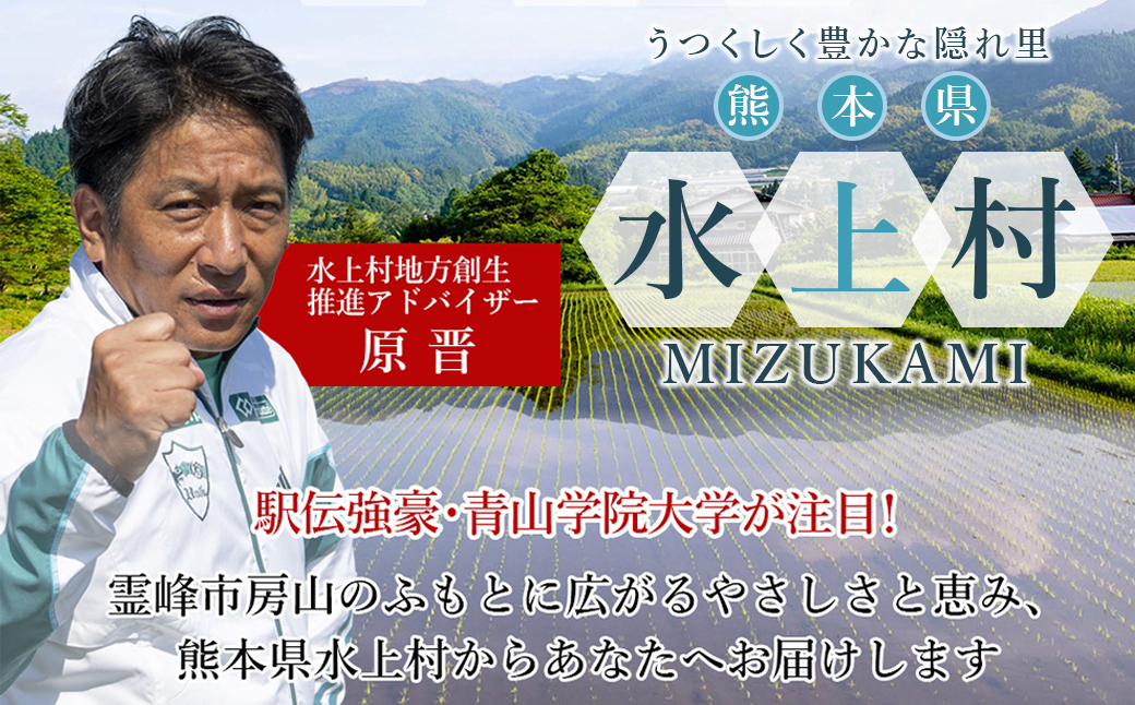球磨の恵み ヨーグルト (砂糖不使用) 1kg×6パック 計6kg