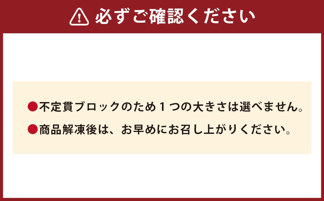 【フジチク】国産 馬刺し 赤身 計約800g 馬刺 馬肉 赤身肉
