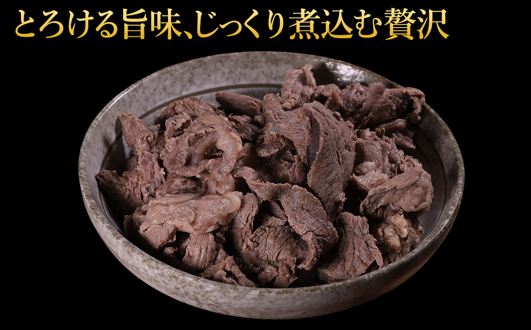 【ふるさと納税】 馬スジ 500g 肉 馬肉 馬すじ すじ肉 訳あり コラーゲン ヘルシー 低脂質 煮込み料理 おでん 冷凍 熊本県 水上村