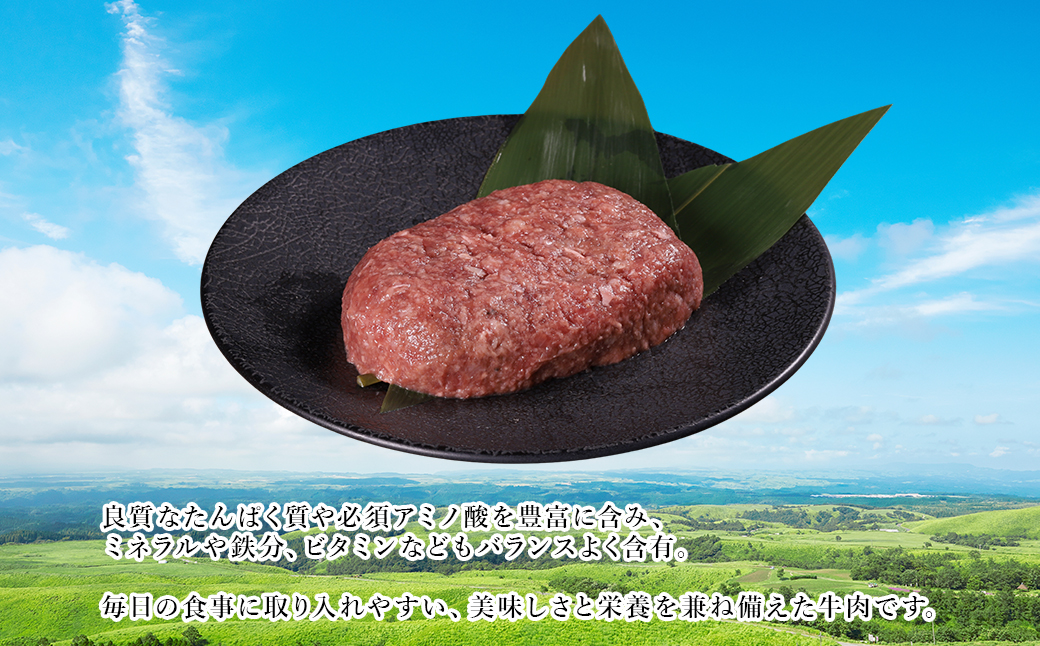 【ふるさと納税】 熊本産 あか牛 ハンバーグベース 1kg 生ハンバーグ ハンバーグベース ハンバーグのタネ 冷凍 国産牛 赤身 アレンジ自在 おかず 熊本県 水上村