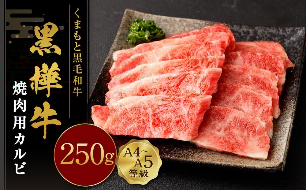 くまもと黒毛和牛 黒樺牛 A4~A5等級 焼肉用カルビ250g